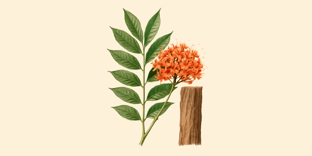 Ashoka