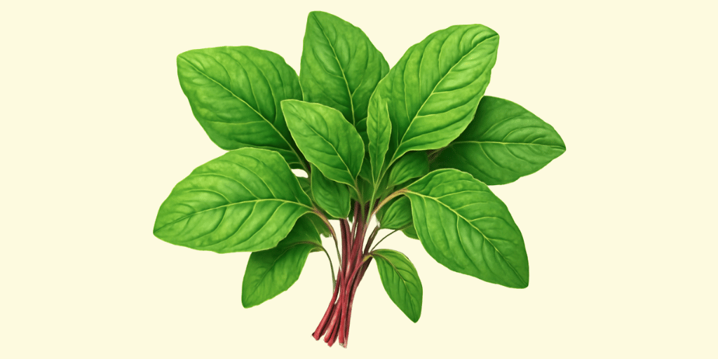 Chaulai