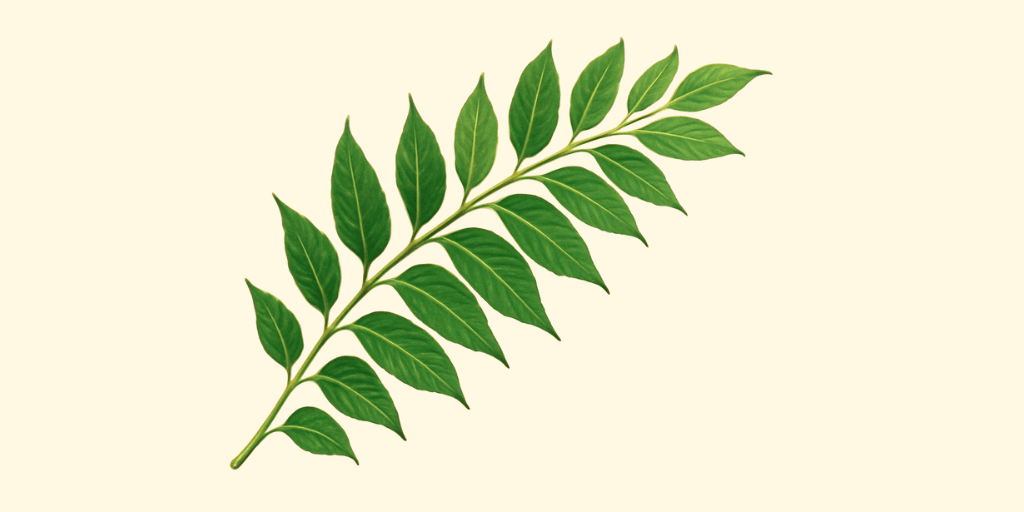 Curry leaves
