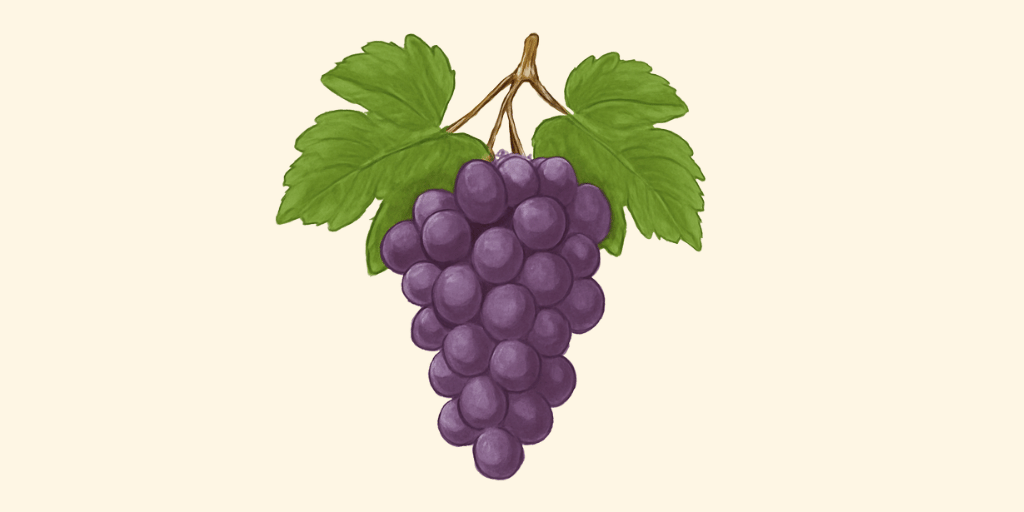 Grapes
