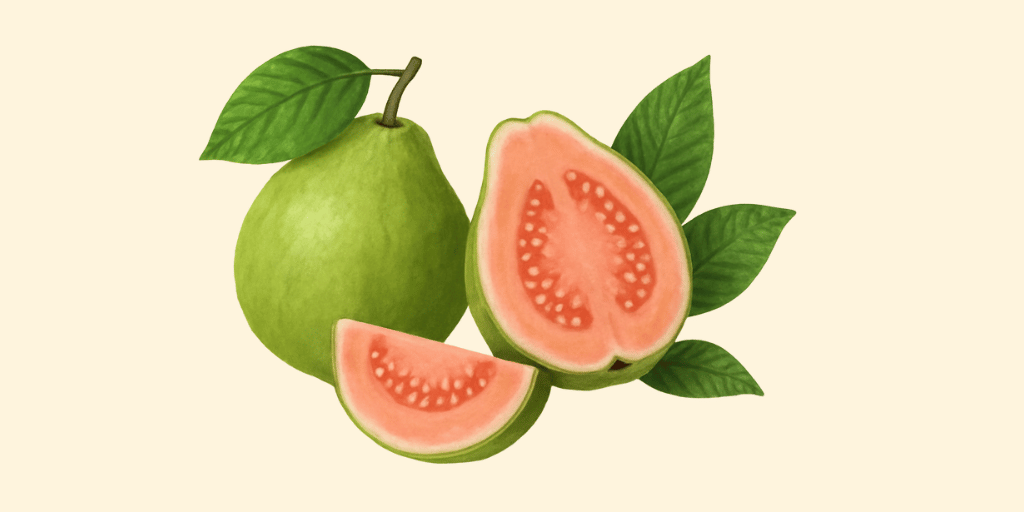 Guava