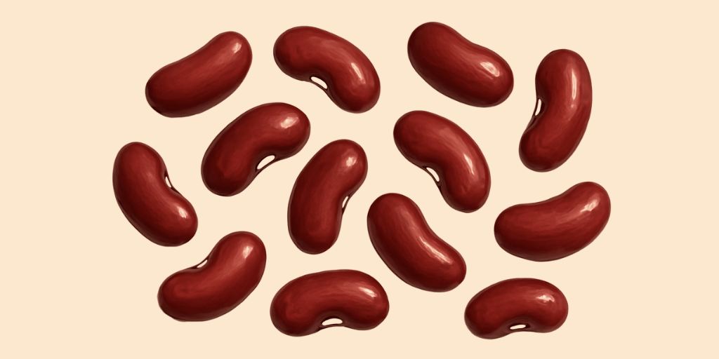 Kidney Beans