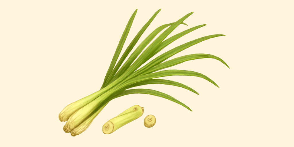 Lemongrass