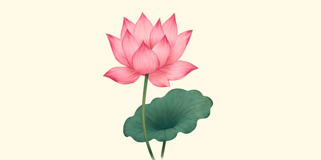 Lotus