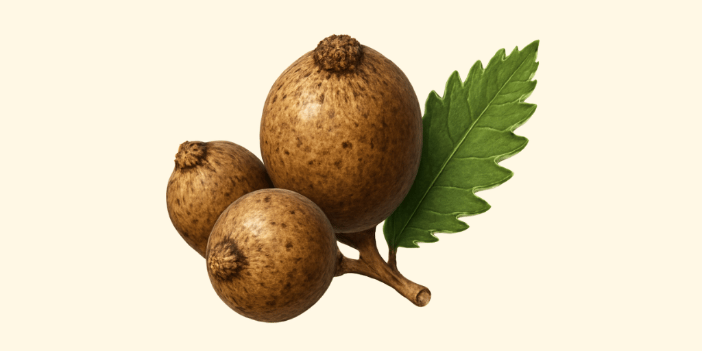 Majuphal
