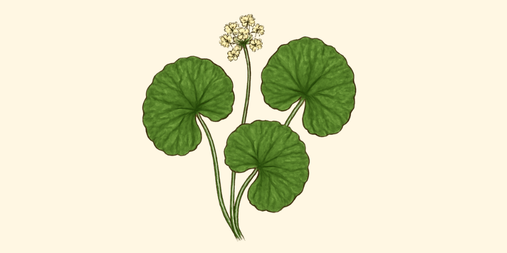 Mandukparni