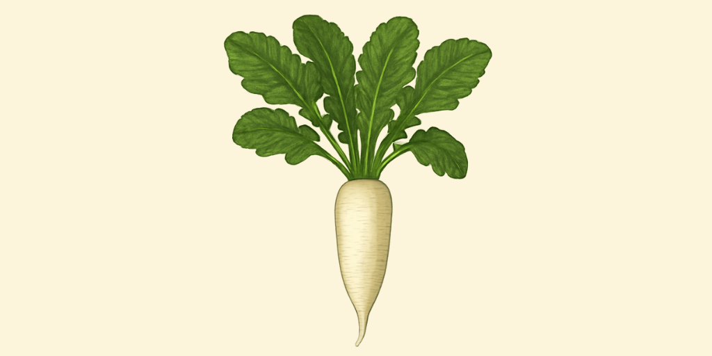Mooli