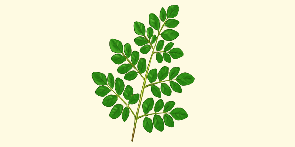Moringa