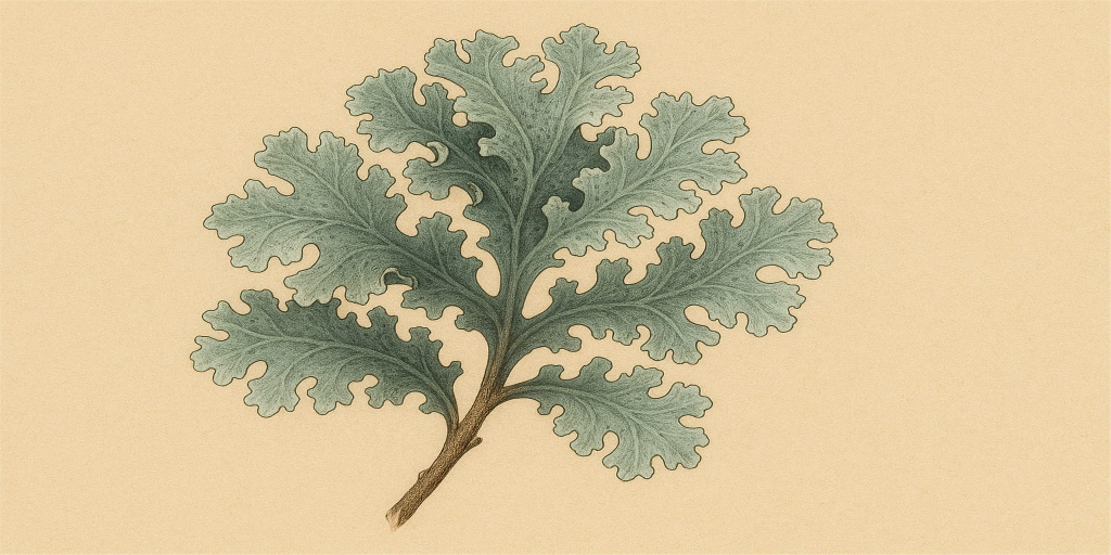 Stone Flower